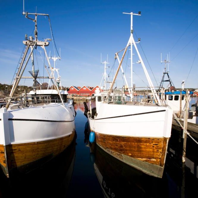 Ways a Boat Lift Protects Boats