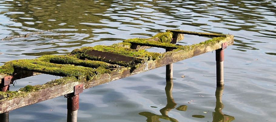 Remove Green Algae