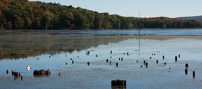 Lake Levels