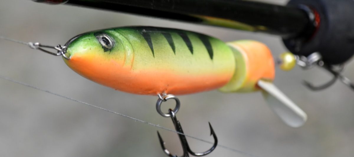 Buying Fishing Bait