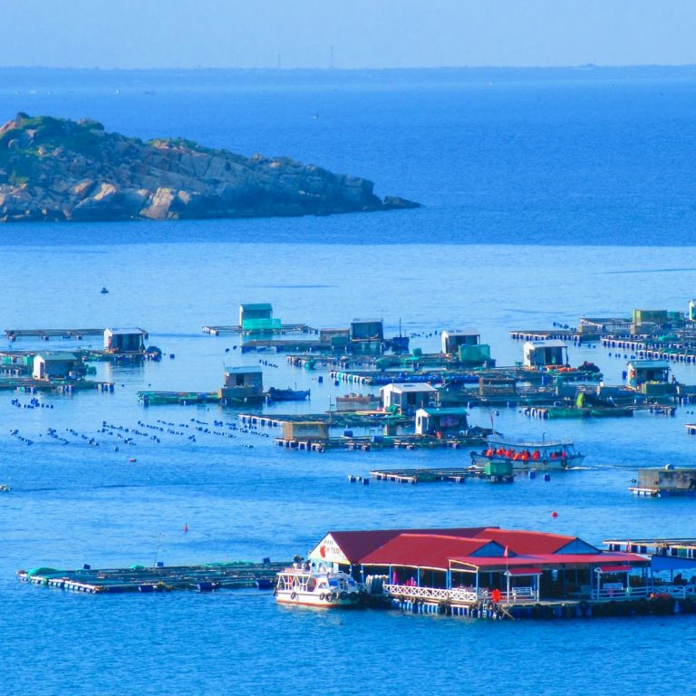 Installing Floating Docks