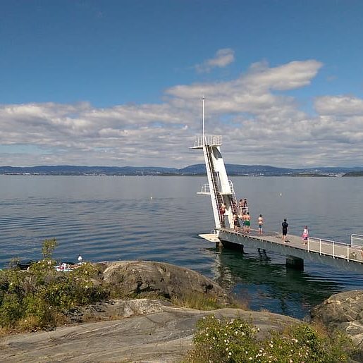 Popular Diving Boards