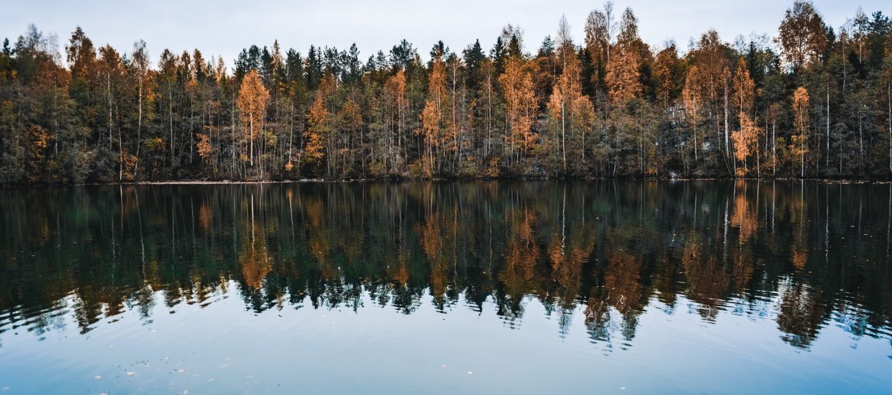 Buffalo Springs Lake