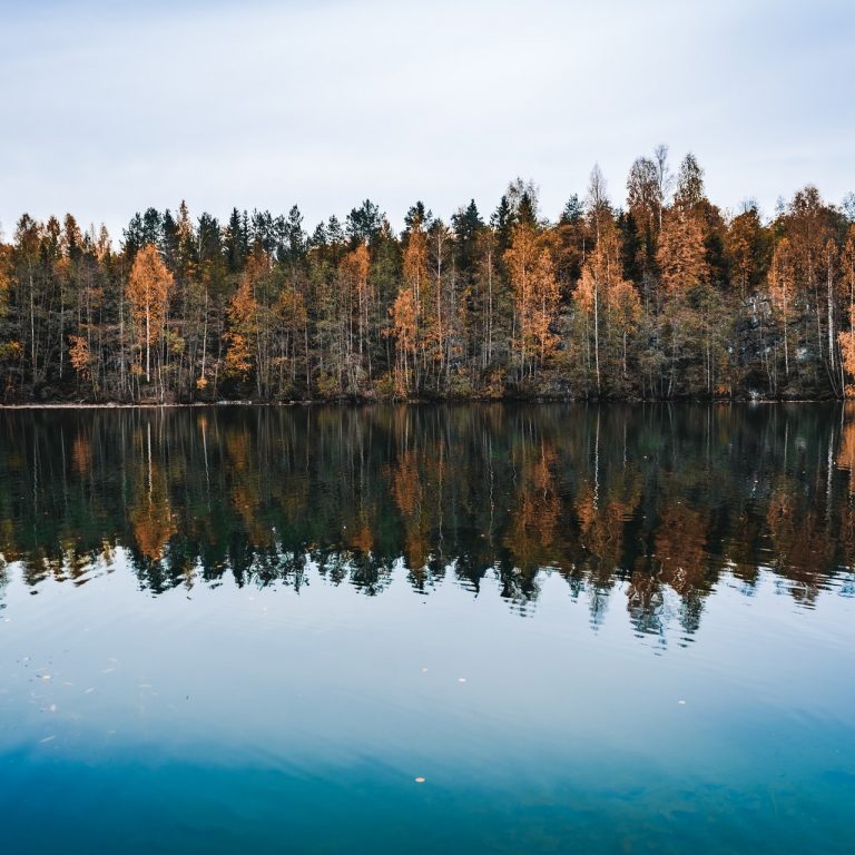 Buffalo Springs Lake