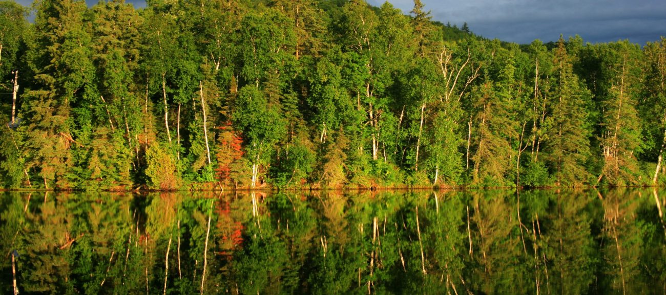 Caddo Lake