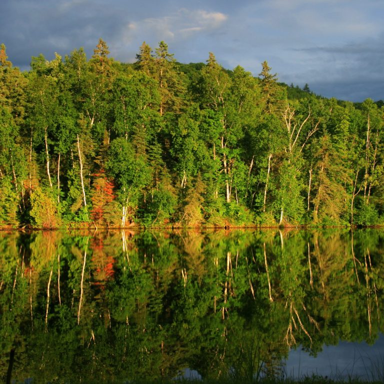 Caddo Lake
