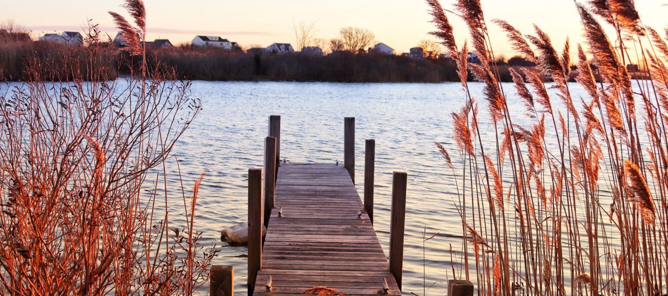 Choose a New Dock