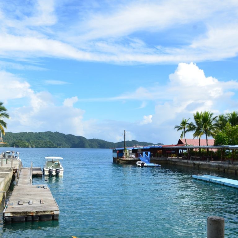 Floating Docks Are Better Than Standard Docks