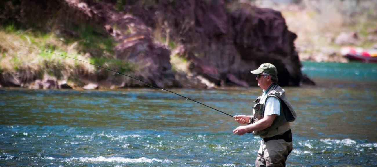 Best Methods to Catch Fish
