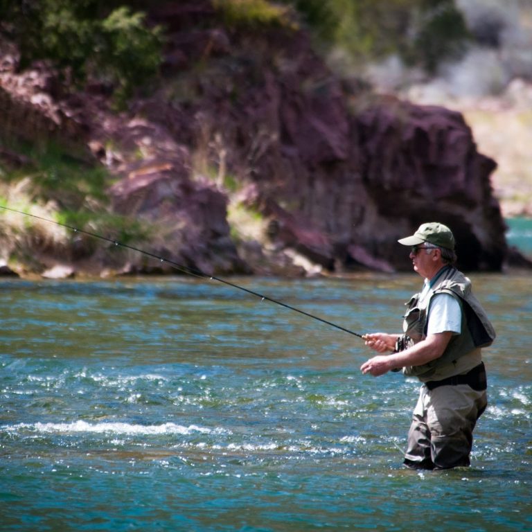 Best Methods to Catch Fish