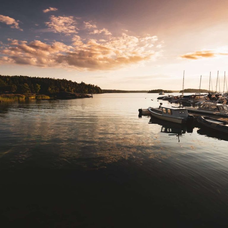 Boat Dock Cleaning Service