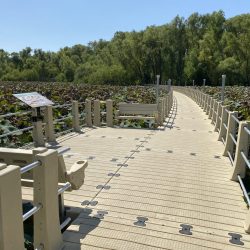 City of Weatherford Boardwalk Landing