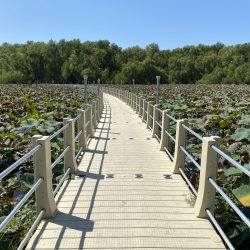 City of Weatherford Boardwalk