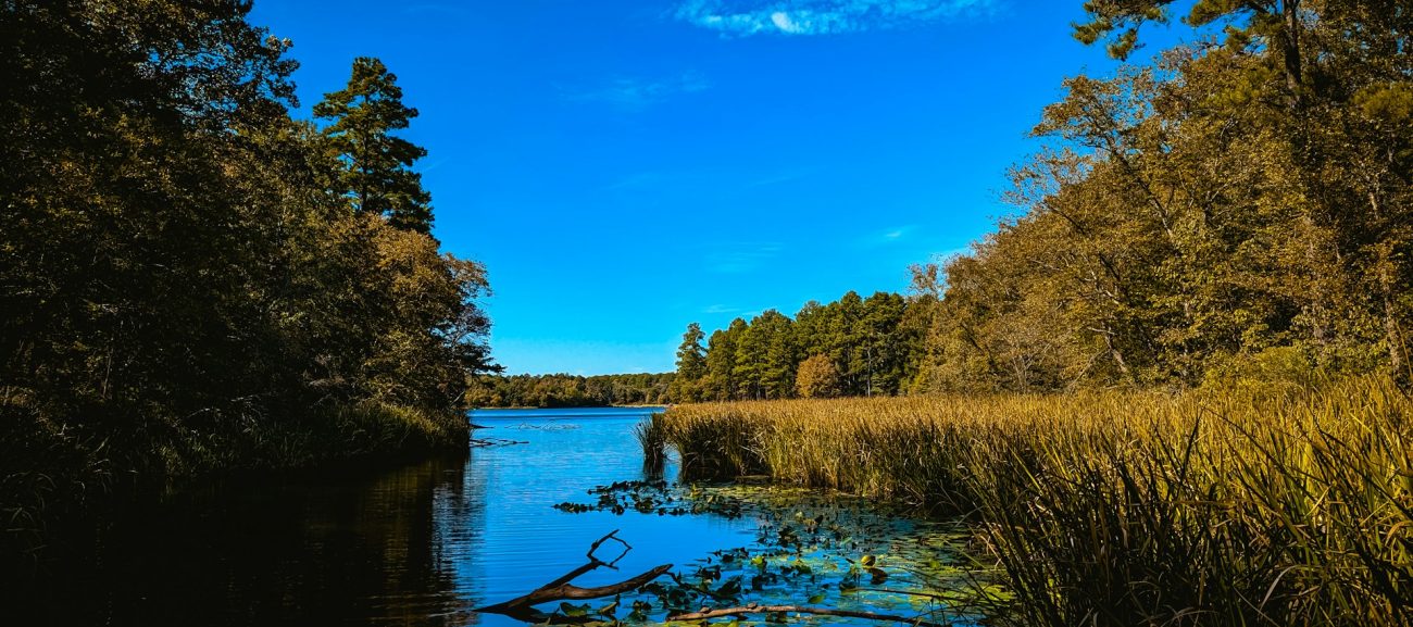 Texas State Parks