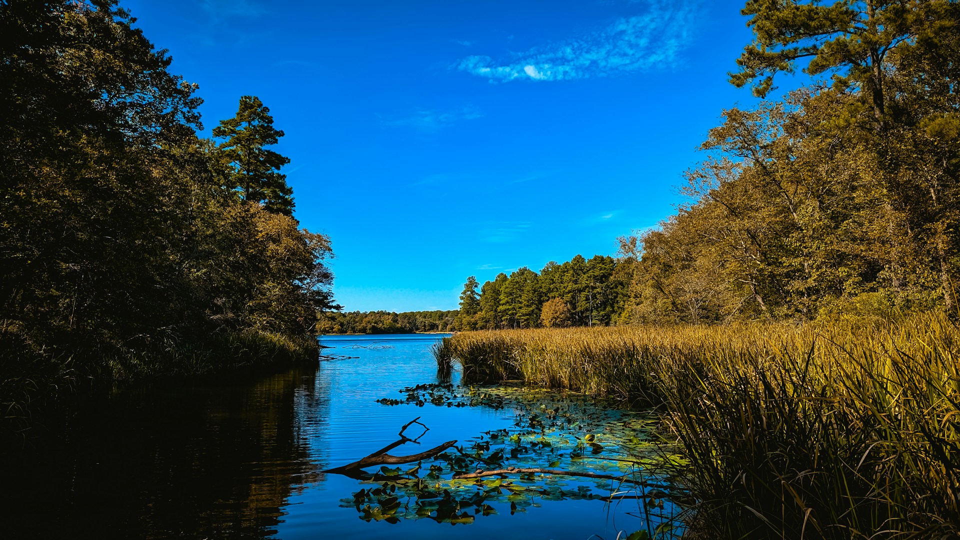 Texas State Parks