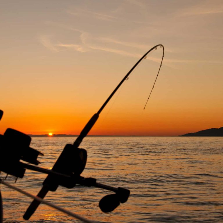 Best Fishing Spots in Texas