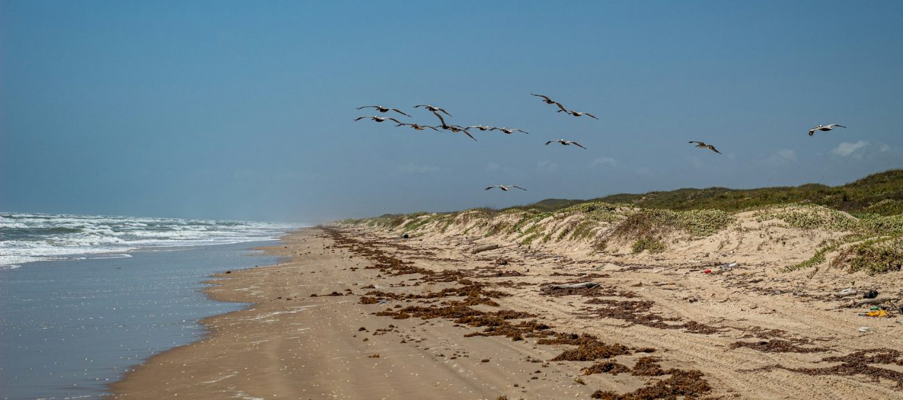 Texas Gulf Coast