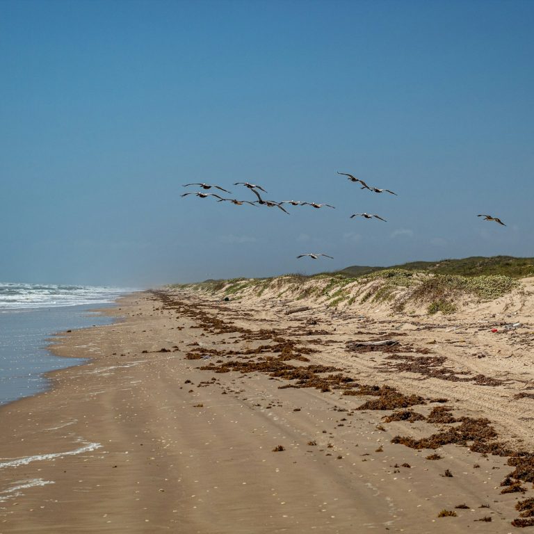 Texas Gulf Coast