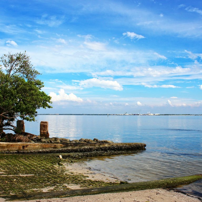 managing public docks