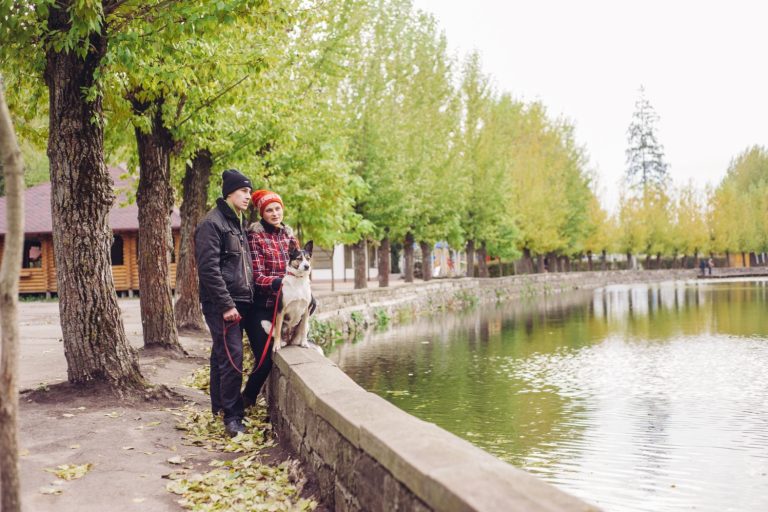 How to Create Year-Round Waterfront Amenities in Texas Parks How to Create Year-Round Waterfront Amenities in Texas Parks