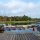 Improving HOA Lakefront Amenities in Texas Without Raising Dues
