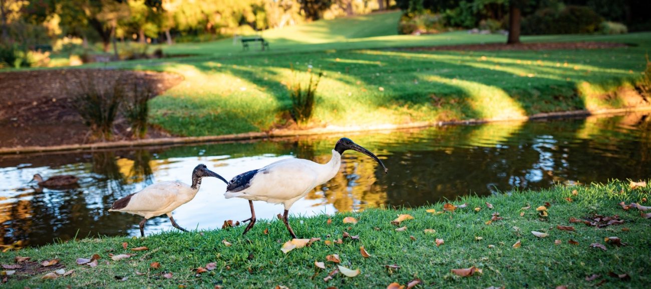 Building Community Trust Through Waterfront Facility Maintenance