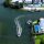 Severe Weather Preparation - Securing Luxury Estate Waterfront Assets for Hurricanes