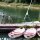 Best Waterfront Management Strategies for Texas State and Regional Parks