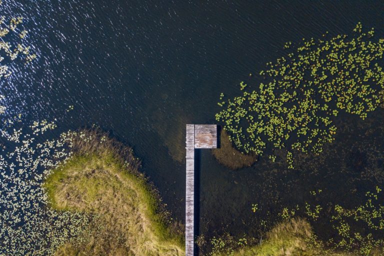 navigating fluctuating water levels in deep Texas reservoirs navigating fluctuating water levels in deep Texas reservoirs