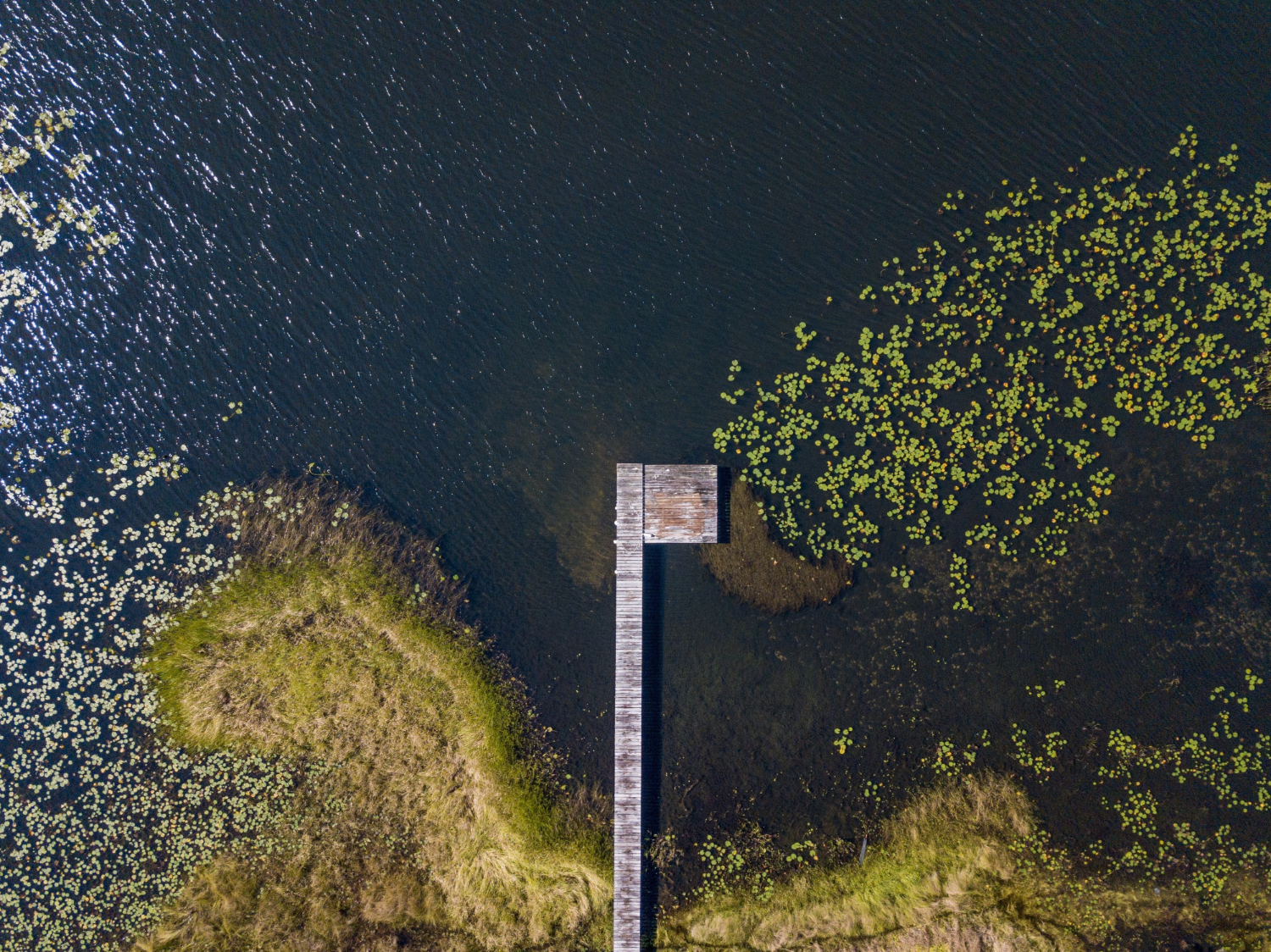navigating fluctuating water levels in deep Texas reservoirs navigating fluctuating water levels in deep Texas reservoirs