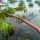 waterfront improvements