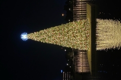 christmas-floating-dock