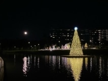 Christmas-Tree-Platform