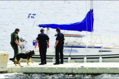 22-dog-inspection