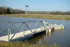 buffalo-dock